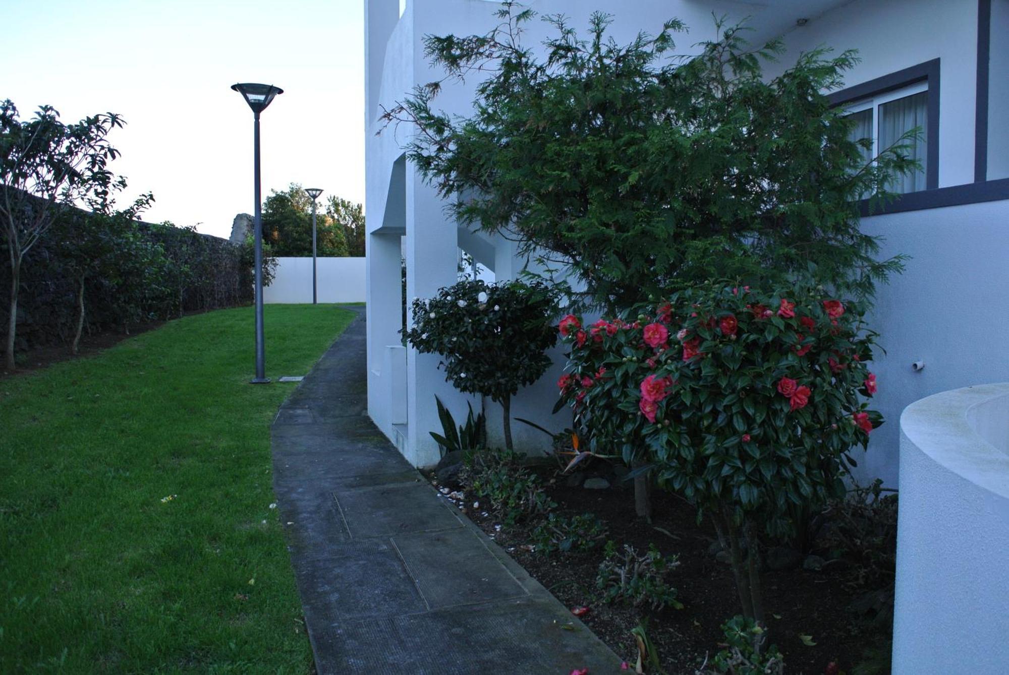 Casa Simba , Where The Fun Begins Ponta Delgada  Ngoại thất bức ảnh