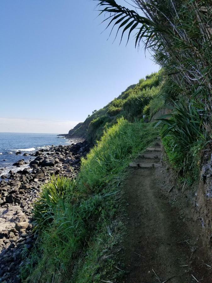 Casa Simba , Where The Fun Begins Ponta Delgada  Ngoại thất bức ảnh